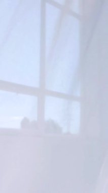 Beyaz şeffaf kumaş rüzgarda dalgalanıyor. Dikey. Parlak bir stüdyoda uzun beyaz perdeler. Rüzgarda savrulan saf beyaz perdeler. Ağır çekim. Görüntüler. Güneşli bir odada beyaz bir perde yükseliyor. Yumuşak, dalgalı beyaz perde huzur içinde 