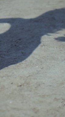 Sahilde bikinili genç bir kadın. Dikey. Esnek kalçalı bir kız kumsalda güneşleniyor. Çekici, ince model kameraya poz veriyor. Bikinili bir kadın kumsalda dinleniyor. Bikinili güzellik plaj havasından zevk alıyor..