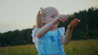 Mavi elbiseli küçük bir kız güneşli bir alanda mutlu mesut duruyor. Açık mavi elbiseli genç bir kız bir tarlada uzun otlarla çevrili olarak yürüyor. Resimli bir tarlada oynayan mavi elbiseli küçük bir kız. Mavi elbiseli bir çocuk, neşeyle