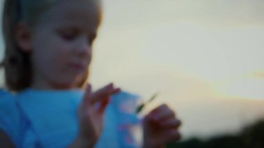 Mavi elbiseli küçük bir kız güneşli bir alanda mutlu mesut duruyor. Açık mavi elbiseli genç bir kız bir tarlada uzun otlarla çevrili olarak yürüyor. Resimli bir tarlada oynayan mavi elbiseli küçük bir kız. Mavi elbiseli bir çocuk, neşeyle