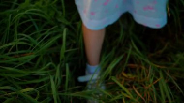 Mavi elbiseli küçük bir kız güneşli bir alanda mutlu mesut duruyor. Açık mavi elbiseli genç bir kız bir tarlada uzun otlarla çevrili olarak yürüyor. Resimli bir tarlada oynayan mavi elbiseli küçük bir kız. Mavi elbiseli bir çocuk, neşeyle