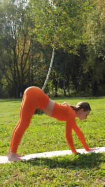 Dikey. Yoga yaparken parkta gerinen turuncu kıyafetli bir kadın. Bir kadın esneme egzersizleri yapar. Esneklik eğitimi, Limbering rutinleri, Hareket çeşitliliği tatbikatları, Ortak seferberlik tatbikatları, esneklik egzersizleri,