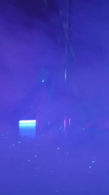 Dikey. Seksi kadın disko kulübünde direk dansı yapıyor. Direğin üstünde erotik dans. Egzotik direk dansı, striptizci, direk sporu, direk sanatı. Duman makinesi, lazer..