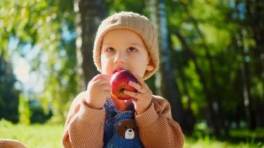 Sonbahar parkı sahnesi; yakut kırmızısı bir elma tutan bir çocuk, doğanın güzelliğiyle çevrili bir battaniyenin üzerinde oturur. Küçük bir tanesi gülümsüyor, canlı yeşil çimenlerin arasına yerleşmiş, tatlı bir ziyafetin tadını çıkarıyor, altın güneş ışığıyla yıkanmış. Parkta piknik zamanı; bir çocuk,