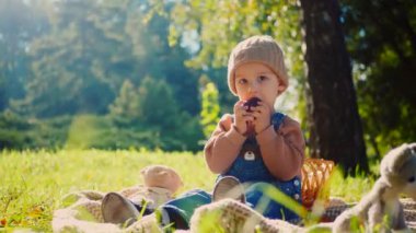 Sonbahar parkı sahnesi; yakut kırmızısı bir elma tutan bir çocuk, doğanın güzelliğiyle çevrili bir battaniyenin üzerinde oturur. Küçük bir tanesi gülümsüyor, canlı yeşil çimenlerin arasına yerleşmiş, tatlı bir ziyafetin tadını çıkarıyor, altın güneş ışığıyla yıkanmış. Parkta piknik zamanı; bir çocuk,