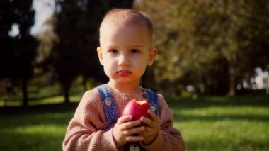 Ufaklık, bir ısırık elma tutuyor, sonbaharın altın parıltısının ortasında. Güneş ışığı, yarısı yenmiş bir elmayı tutarken çocuğun yüzünü ısıtır. Kot pantolon ve şeftali rengi bluz giyen genç bir çocuk soğuk bir sonbahar gününün tadını çıkarıyor. Sonbahar parkı sahnesi