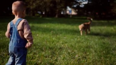 Ufaklık, bir ısırık elma tutuyor, sonbaharın altın parıltısının ortasında. Güneş ışığı, yarısı yenmiş bir elmayı tutarken çocuğun yüzünü ısıtır. Kot pantolon ve şeftali rengi bluz giyen genç bir çocuk soğuk bir sonbahar gününün tadını çıkarıyor. Sonbahar parkı sahnesi