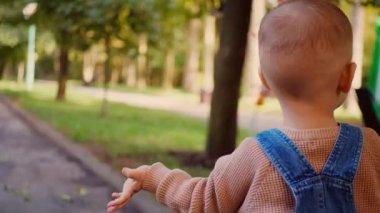 Küçük bir çocuk, düşünceli bir şekilde parkın canlı yeşilliklerine ve altın güneş ışığına bakıyor. Sonbahar renkleri, parkın sessiz güzelliklerinde kaybolmuş genç bir çocuğu sarıyor. Nazik güneş ışığı, düşünceli bir çocuğu park ortamında yıkar. Genç bir çocuk., 