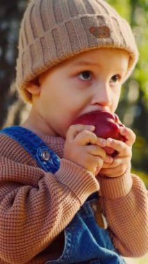 Dikey, küçük bir tanesi, ısırık bir elma tutuyor, sonbaharın altın parıltısının ortasında. Güneş ışığı, yarısı yenmiş bir elmayı tutarken çocuğun yüzünü ısıtır. Kot pantolon ve şeftali rengi bir çocuk.