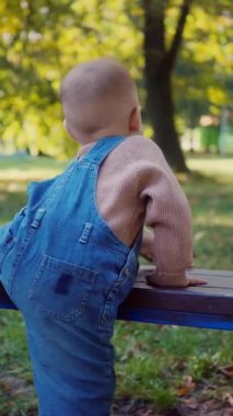 Dikey, küçük bir çocuk, düşüncelere dalmış ve mutlu, sonbahar güneşinde bankta oturuyor. Sonbahar renkleri, yıpranmış ahşap bir bankta derin derin oturan bir çocuğun etrafını sarar. Huzurlu sahne: Genç bir çocuk,