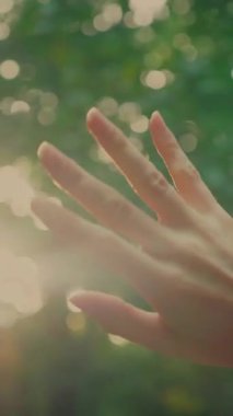 Dikey. Ormanda şeffaf beyaz elbiseli yalnız, çekici bir kadın. Çekici Dryad ya da Orman Perisi ruhani ve zarif bir şekilde ormanda geziniyor. Çıplak ayaklı orman perisi. Mavka Naiad Masalda