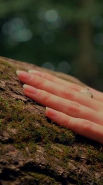 Dikey. Ormanda şeffaf beyaz elbiseli yalnız, çekici bir kadın. Çekici Dryad ya da Orman Perisi ruhani ve zarif bir şekilde ormanda geziniyor. Çıplak ayaklı orman perisi. Mavka Naiad Masalda