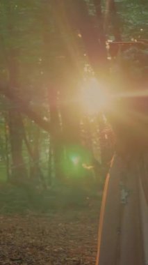 Dikey. Şeffaf beyaz elbiseli yalnız çekici kadın ormanda sihirli bir kutu açıyor. Çekici Dryad ya da Orman Perisi ruhani ve zarif bir şekilde ormanda geziniyor. Çıplak ayaklı orman perisi. Mavka Naiad Masalda