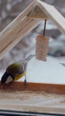 Vertical. A tiny tit, perched on a wooden ledge feeder, feasts on a delectable treat. Feathered friend, enjoying a winter meal. Close-up of a bird, focused on a nourishing snack. Winter bird food
