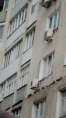 Dikey. Şehir koreografisi beton basamaklarda, zarafet ve güçle hareket eden bir kadın olarak gözler önüne seriliyor. Hip-hop hareketleri, şehir binalarına karşı bir enerji patlaması. Sokak stili dansla buluşur. Somut adımlar, hip-hop sanatının bir sahnesi., 