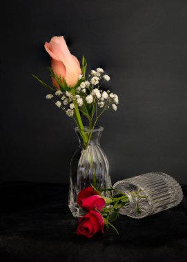 Şeftali rengi gül goncası minyon cam vazoda.. 