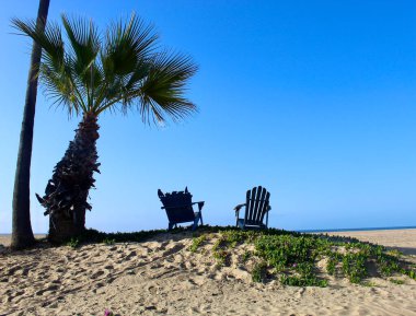 Sahilde bir palmiye ağacının yanında iki plaj sandalyesi. 