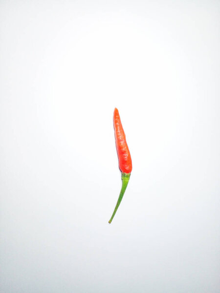 One red chili pepper isolated on white background.