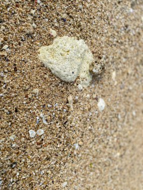 Beyaz taş süslemeleri olan güzel kumsal arkaplanı.