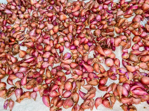 Kırmızı soğanlar güneşte kurudu. Bir sürü kırmızı soğan..