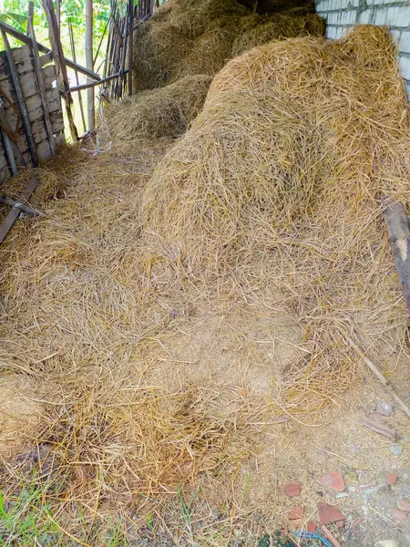 Kırsaldaki saman yığınları. Hayvan yemi için saman yığını.
