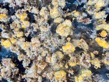 Nasi Aking güneşte kurutulmuş pirinçten yapılmıştır..