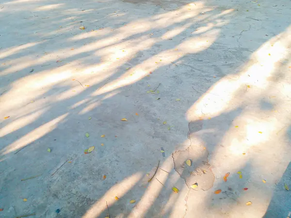 Sabah yola park et. Bahçe yolu sabah güneşiyle aydınlanır..