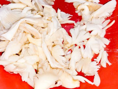 Çiğ istiridye mantarı pişirilmeye hazır. Lezzetli mantar sebzeleri.