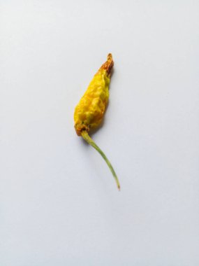 Kurumuş ve çürümüş küçük yeşil biber, beyaz arka planda izole edilmiş.