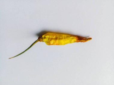 Kurumuş ve çürümüş küçük yeşil biber, beyaz arka planda izole edilmiş.