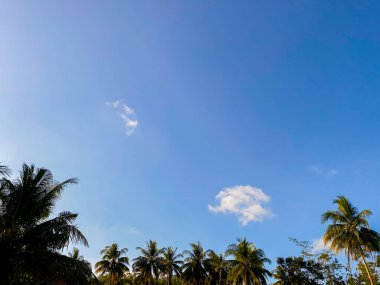 Gün boyunca parlak gökyüzü arkaplanı. Mavi gökyüzü ve hindistan cevizi ağaçları manzaralı beyaz bulutlar..