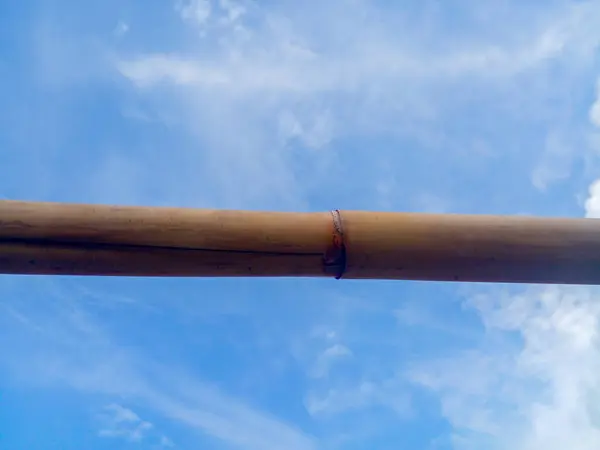 Sarı bambu sapları ve gökyüzü arkaplanı.