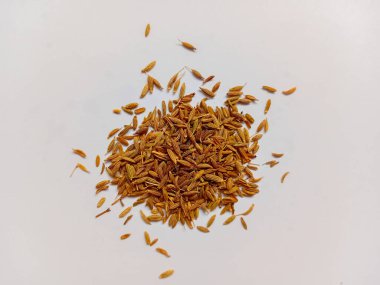 Beyaz arkaplanda yalıtılmış kimyon tohumları.