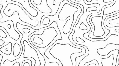 Topografik arkaplan, beyaz soyut arkaplan, hareket 4k ultra HD 