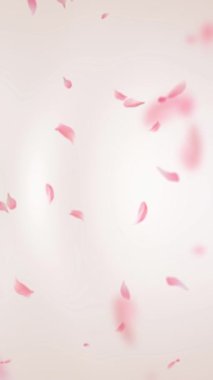 Sakura çiçek yaprakları düşen animasyon.