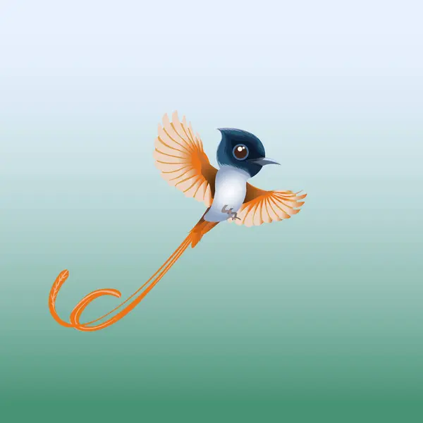 Asian Paradise Flycatcher Bird Illustration — Stock Vector