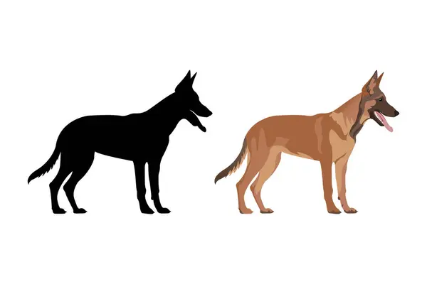 Belgian Shepherd Dog Silhouette — Stock Vector