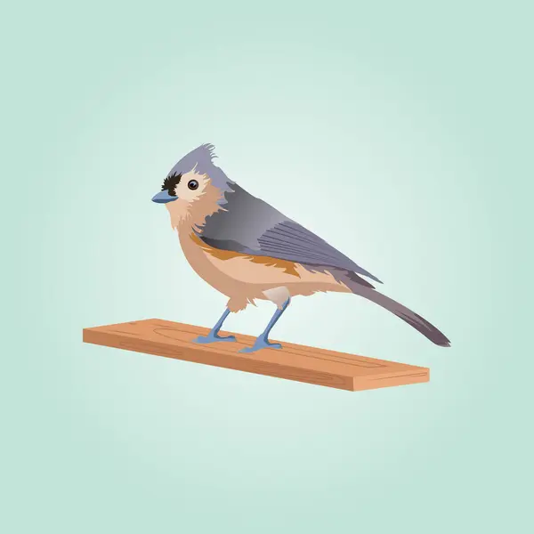 Güzel kuş Titmouse illüstrasyonu