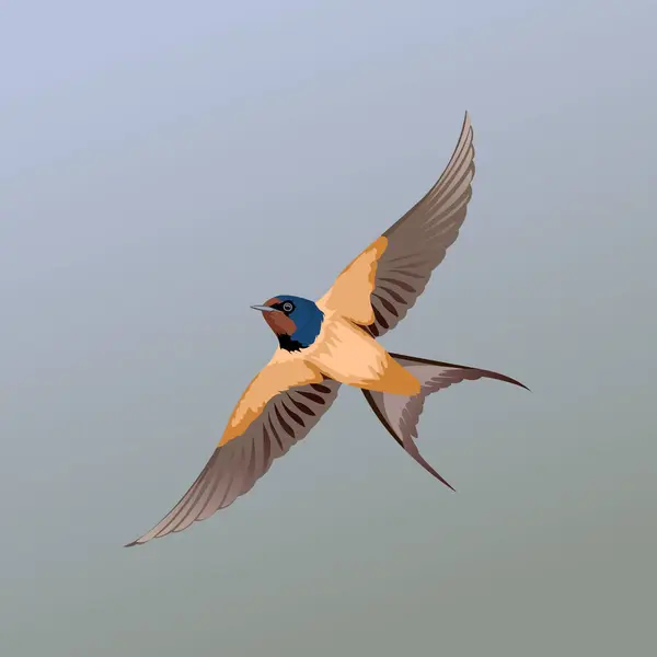 Kuş vektör çizimini yut