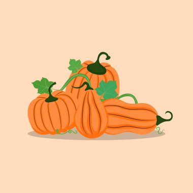 Yaprak vektör illüstrasyonlu Kabak kümesi