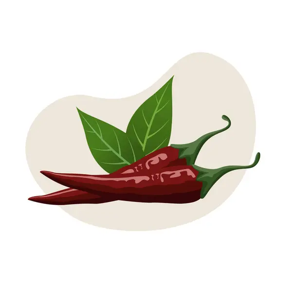 Kırmızı acı biber vektör çizimi