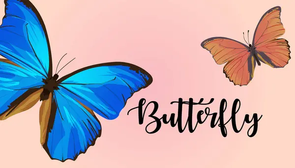 Kelebek premium vektör çizimi