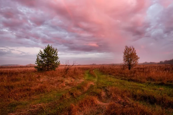 Ранним Осенним Утром Среди Полей Тумане Зеленой Грунтовой Дороги — стоковое фото
