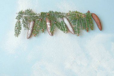 Yılbaşı arka planında, karlı bir arka planda Noel ağacı dalları ve koniler var..