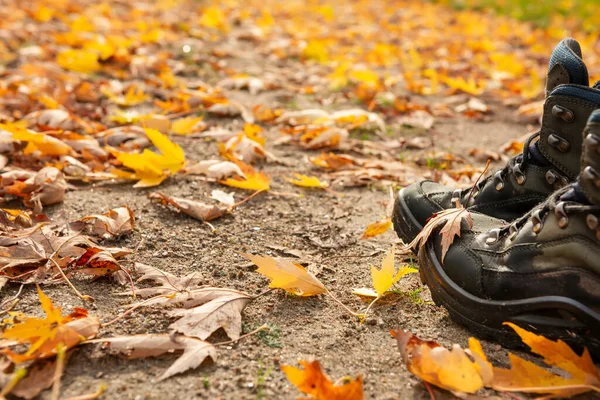 Sarı Yapraklı Bir Patikada Pürüzlü Yürüyüş Botları Içinde Bacaklar — Stok fotoğraf