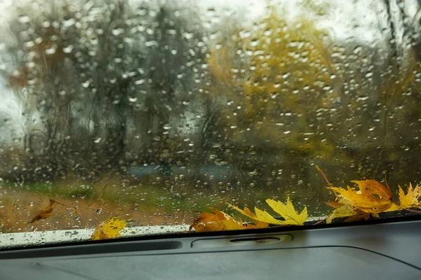 Jesienne Liście Mokrej Szybie Samochodu Nastrój Jesieni — Zdjęcie stockowe