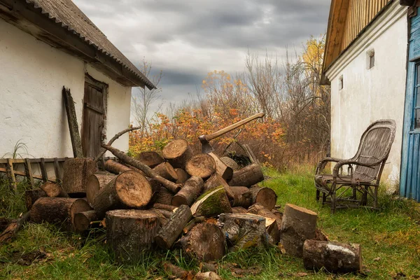 薪を収穫する過程 田舎の家の庭に薪と斧の入った籠 — ストック写真