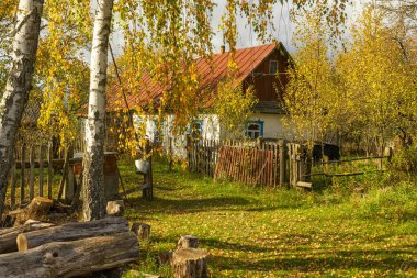 Bazen sonbaharda basit bir köy evi. Ukrayna.
