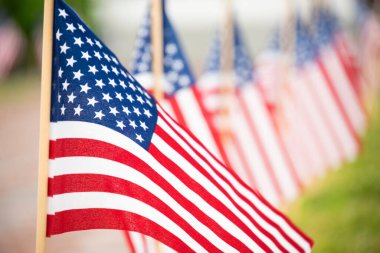 Amerikan bayrağı ve arka planda bir sıra bayrak. ışık seçici odak. ABD 'nin sembolleri. Vatanseverlik ve kutlama.