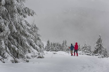 Tourists walking in the forest in the mountains in winter.